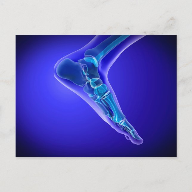 X-Ray View Of Human Foot 3 Postcard (Front)