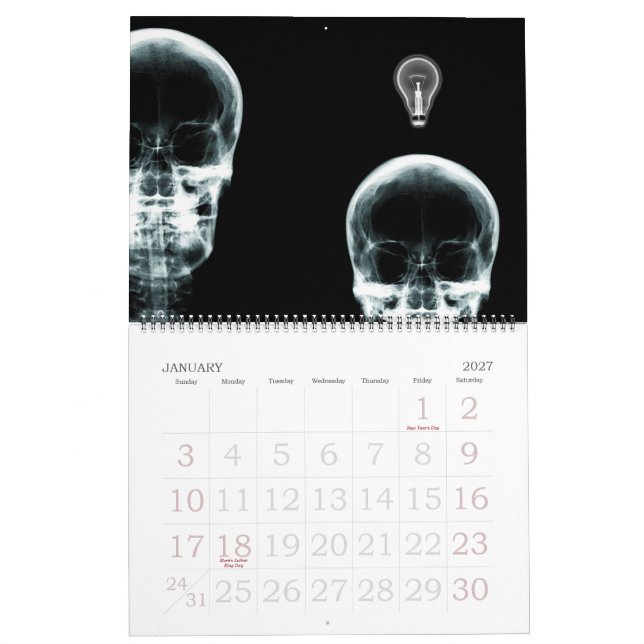 X-Ray Vision Skeleton Collection 2012 Calendar (Jan 2027)