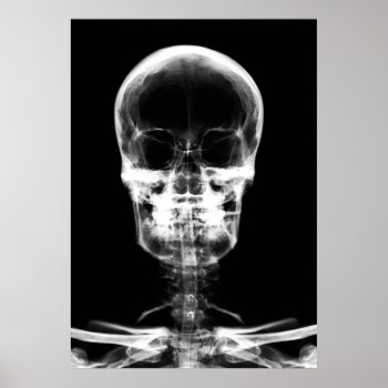 X-ray Vision Skeleton Skull - B&w Poster by VoXeeD at Zazzle