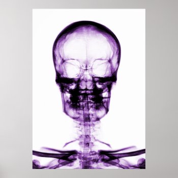 X-ray Vision Skeleton Skull - Purple Poster by VoXeeD at Zazzle