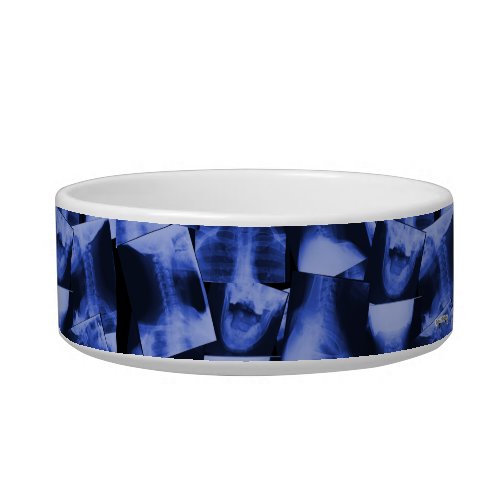 X_rayed _ Electromagnetic Blue Bowl