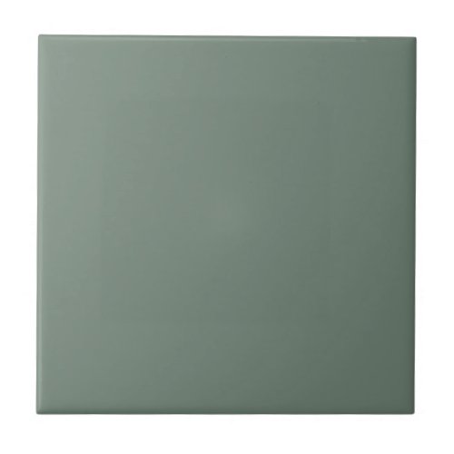 Xanadu Green Color Tile