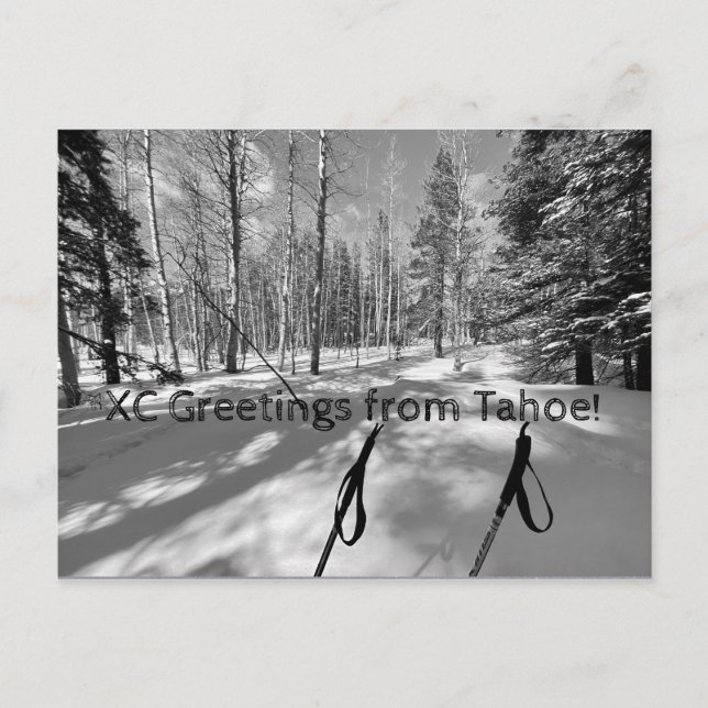 XC Greetings from Tahoe! Postcard (Front)