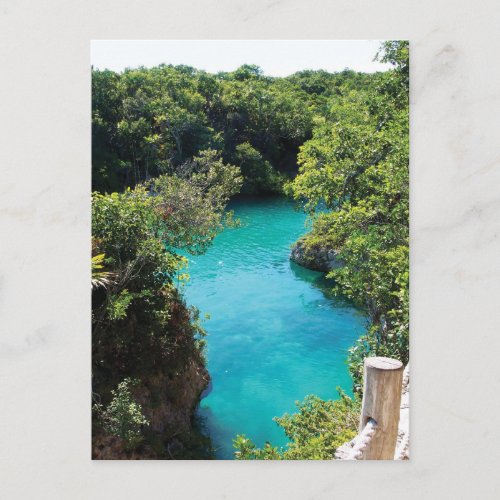 Xel_Ha Nature Park Mexico Postcard