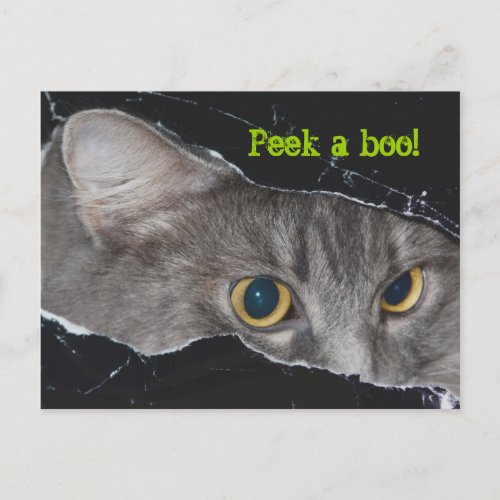 Xena peek_a_boo Postcard _ Customized