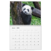 Xiao Qi Ji 2022 Calendar (Mar 2025)