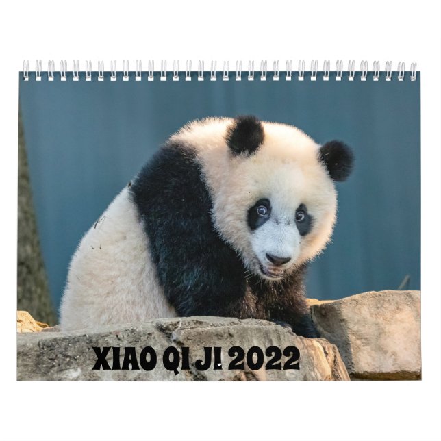 Xiao Qi Ji 2022 Calendar (Cover)