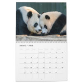 Xiao Qi Ji 2022 Calendar (Jan 2025)