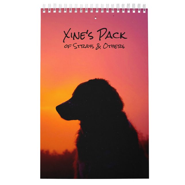 Xine's Pack of Strays & Others Calendar (Cover)