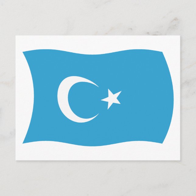Xinjianj Uigur Flag Postcard (Front)