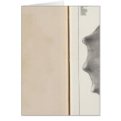 XIX Cretaceous (Front)