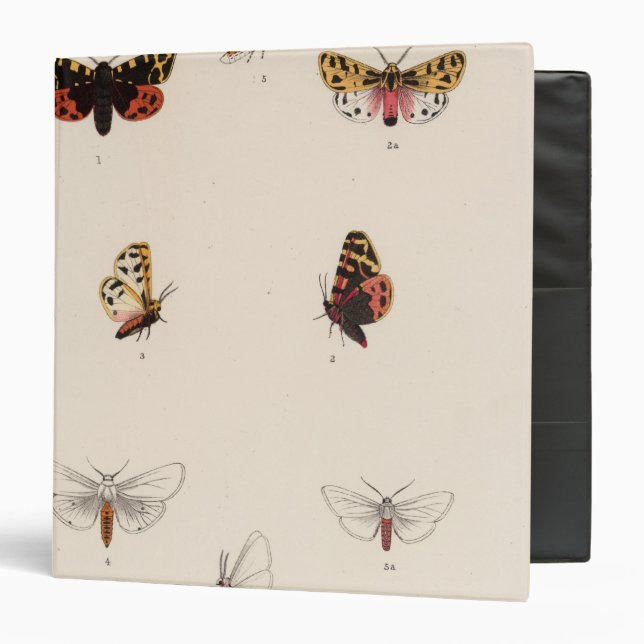 XL Arctia, Leucarctia, Euchaetes 3 Ring Binder (Front/Inside)