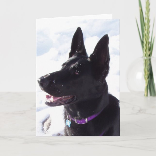 xmas1 holiday card (Front)