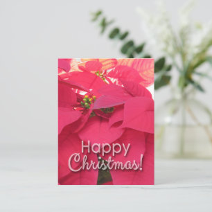 Xmas 001 - Postcard