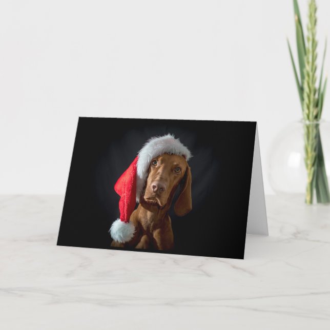 Xmas Card / Christmas Card "Magyar Vizsla" (Front)