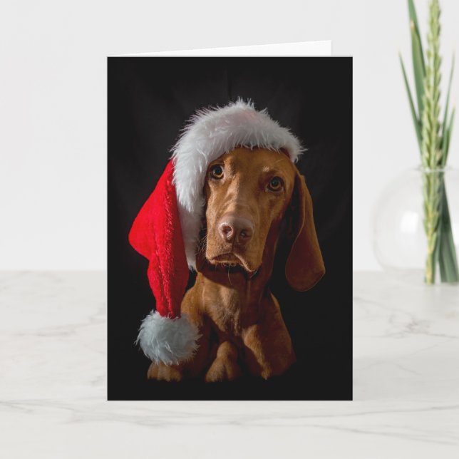 Xmas Card / Christmas Card "Magyar Vizsla" (Front)