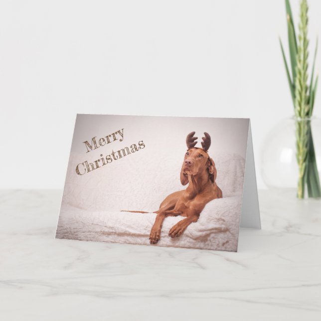 Xmas Card / Christmas Card "Magyar Vizsla" (Front)