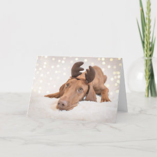 Xmas Card / Christmas Card "Magyar Vizsla"