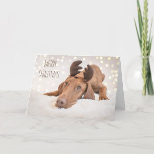 Xmas Card / Christmas Card "Magyar Vizsla"