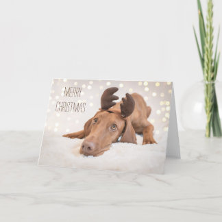 Xmas Card / Christmas Card "Magyar Vizsla"