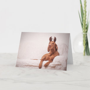 Xmas Card / Christmas Card "Magyar Vizsla"