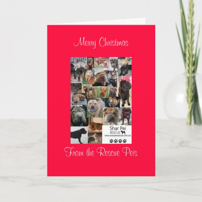 xmas card_cr, Merry ChristmasFrom the Rescue Peis Holiday Card (Front)