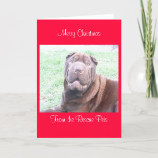 xmas card_cr, Merry ChristmasFrom Wallace Holiday Card