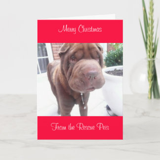 xmas card_cr, Merry ChristmasFrom Wallace Holiday Card