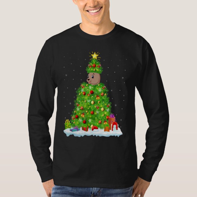 Xmas Decorations Lights Santa Sea Lion Christmas T T-Shirt (Front)