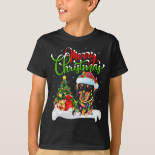 Xmas Decorations Santa Dachshund Dog Christmas T-Shirt
