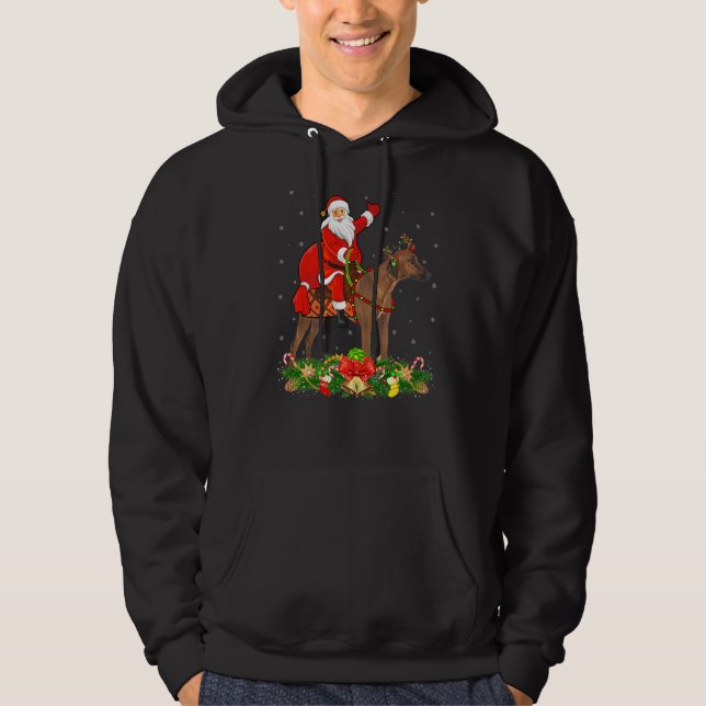 Xmas Funny Santa Riding Rhodesian Ridgeback Dog Ch Hoodie (Front)