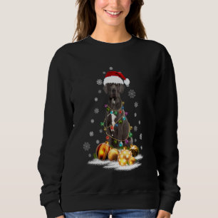 Xmas Great Dane Dog Christmas Lights Santa Reindee Sweatshirt