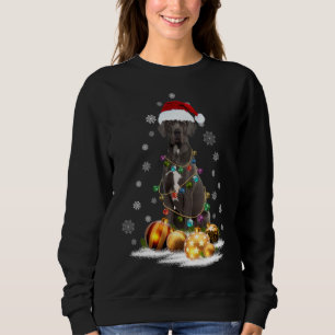 Xmas Great Dane Dog Christmas Lights Santa Reindee Sweatshirt