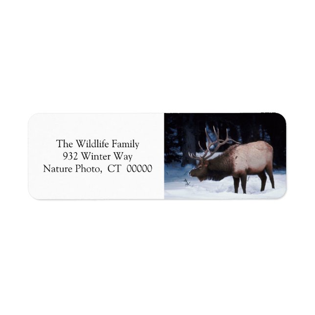 Xmas Greeting Cards Return Address Labels (Front)