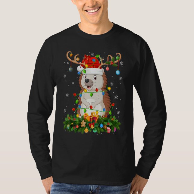 Xmas Holiday Reindeer Hat Santa Hedgehog Christmas T-Shirt (Front)