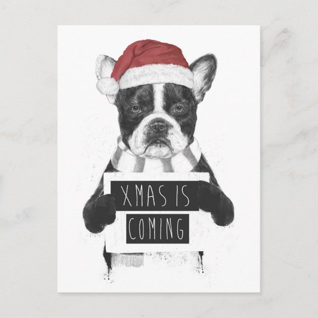 Xmas is coming holiday postcard (Front)