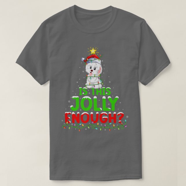 Xmas Lighting Is This Jolly Enough Havanese Christ T-Shirt (Design Front)