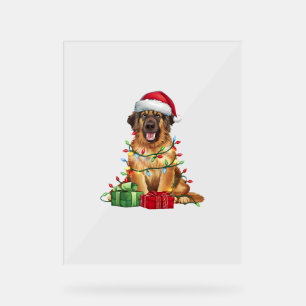 Xmas Lighting Santa Hat Leonberger Dog Christmas Acrylic Sign