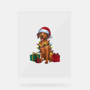 Xmas Lighting Santa Rhodesian Ridgeback Dog Christ Acrylic Sign