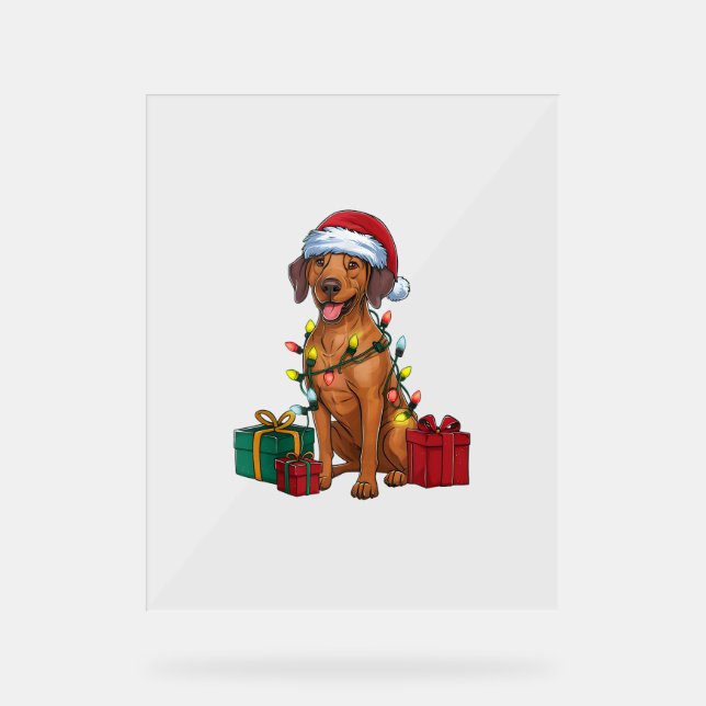 Xmas Lighting Santa Rhodesian Ridgeback Dog Christ Acrylic Sign (Front)
