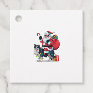 Xmas Lighting Santa Riding Border Collie Dog Chris Favor Tags