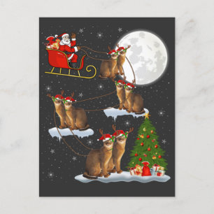 Xmas Lighting Tree Santa Riding Abyssinian Cat Chr Postcard