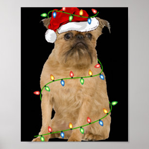 Xmas Lights Santa Hat Brussels Griffon Dog Christm Poster