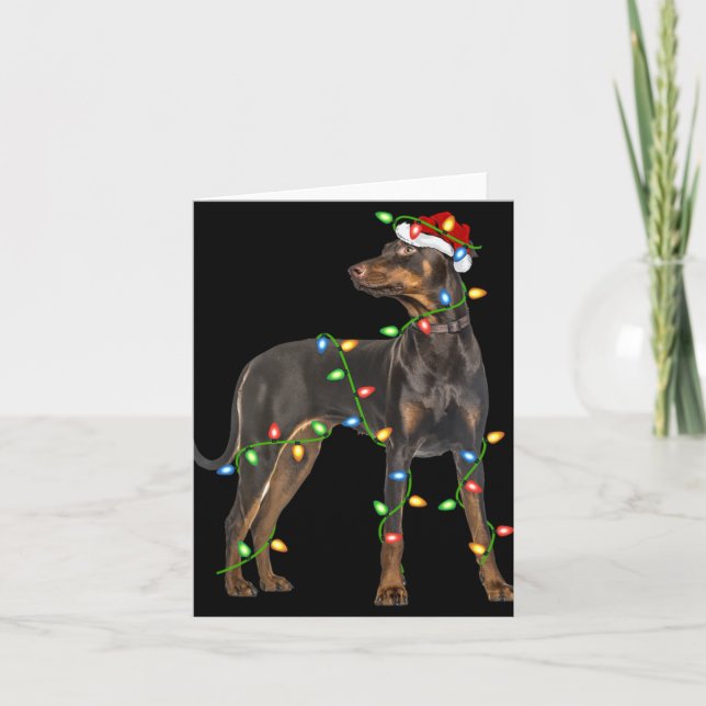 Xmas Lights Santa Hat Doberman Nscher Dog Christ  Card (Front)