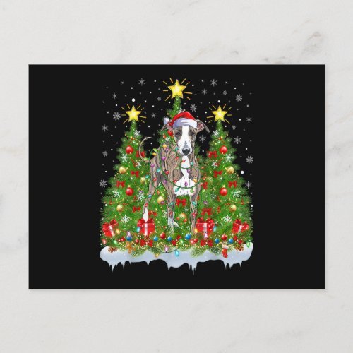 Xmas Lights Santa Italian Greyhound Dog Christmas  Postcard