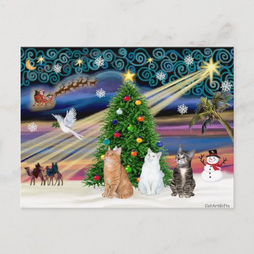 Xmas Magic _ 3 cats 2 tabbys _ white Holiday Postcard