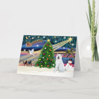 Xmas Magic-Akita White1 Holiday Card