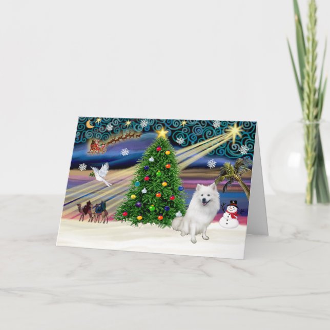 Xmas Magic-American Eskimo Dog Holiday Card (Front)