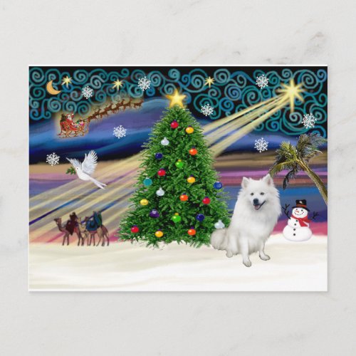 Xmas Magic_American Eskimo Dog Holiday Postcard