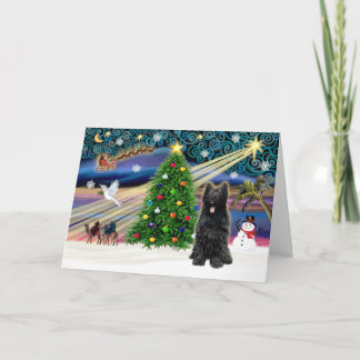 Xmas Magic-Briard-Blk Holiday Card